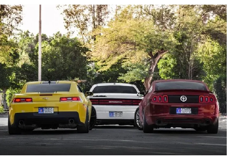 What is the difference between free zone license plates and other license plates