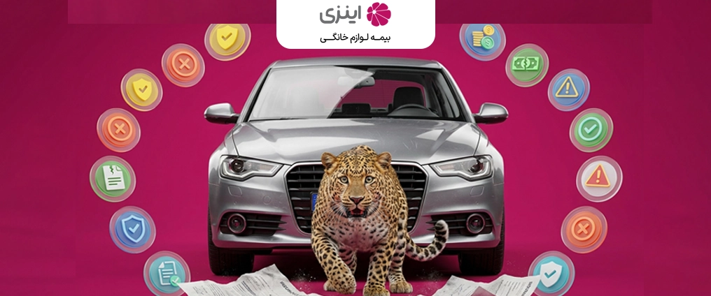بیمه شخص ثالث و تصادف با حیوانات؛ قوانین و مسئولیت‌ها