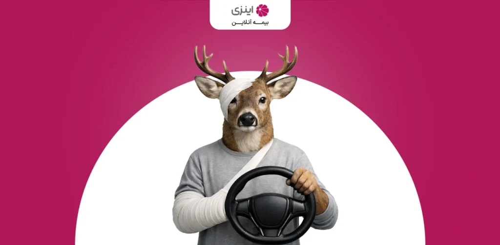 Does body insurance cover damage caused by collisions with animals