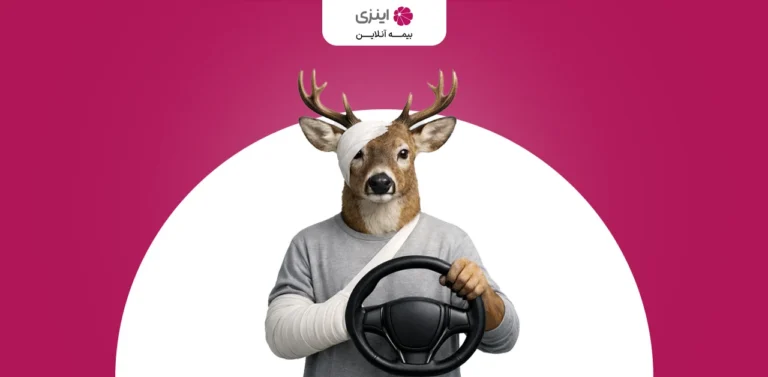 Does body insurance cover damage caused by collisions with animals
